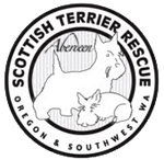 Aberdeen Scottish Terrier Rescue, Oregon and SW Washington